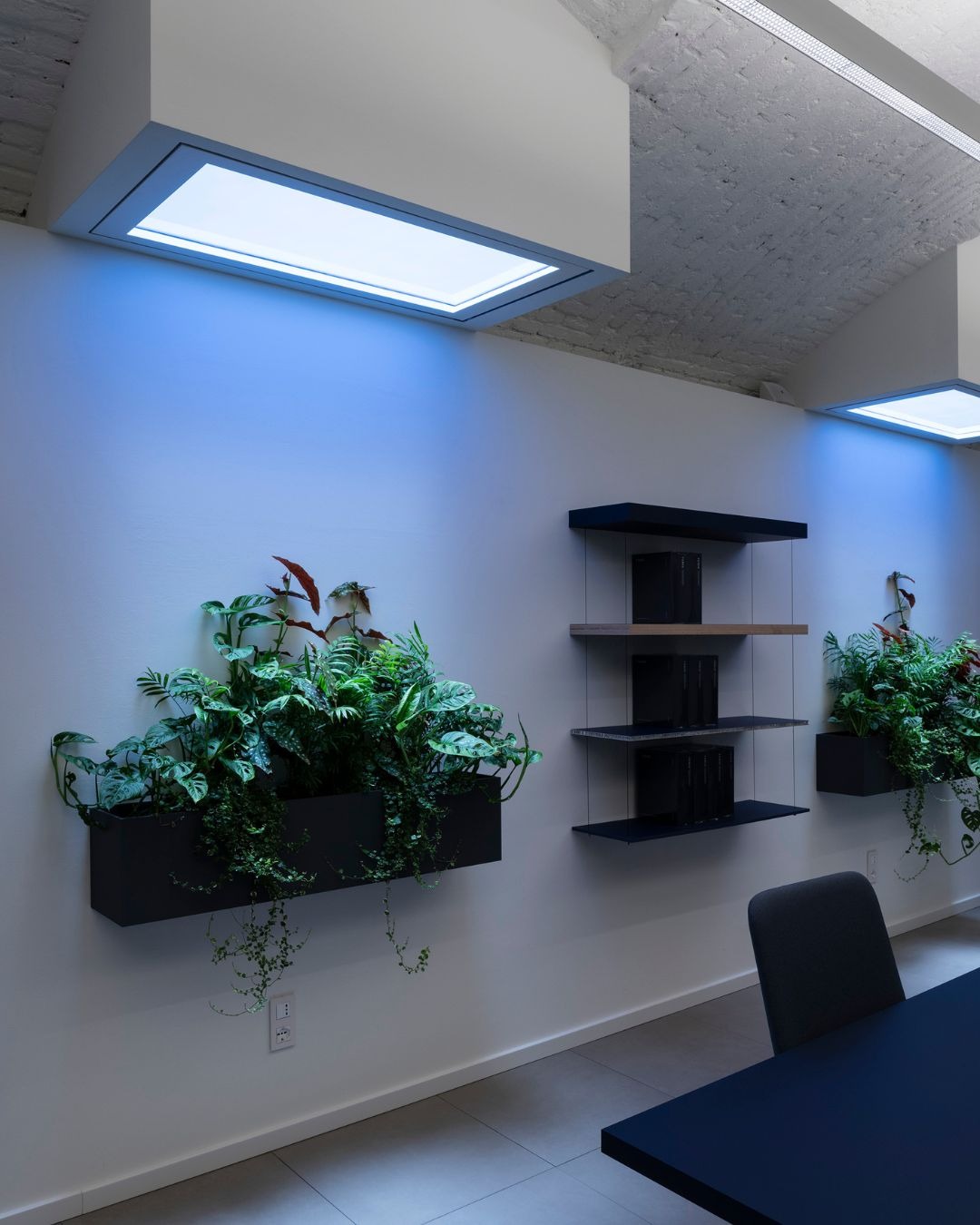 Competitor skylights